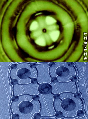 sonic cross crop circle